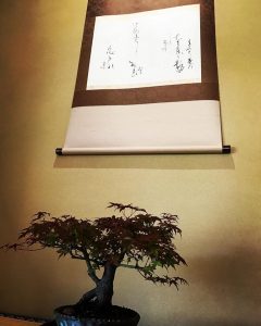 出猩々もみじ　東常縁　飯尾宗祇